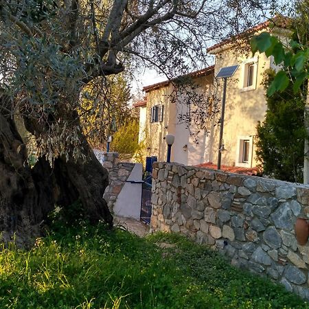 9 Musses Hotel Apartments Skala Mistegnon Exterior foto